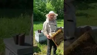 Делаем противороевые отводки