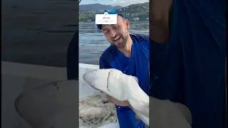Look what I hunted #shark #sessiz #fishing
