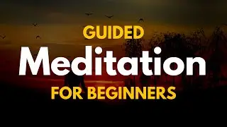 Guided meditation for Beginners    #meditation #guidedmeditation