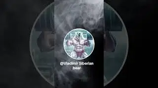 Siberian bear
