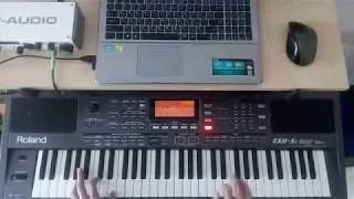 Комарово Roland EXR 5s