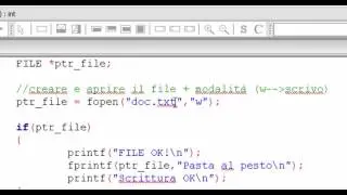 Linguaggio C -  Scrivere su file di testo