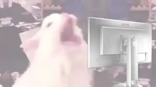 The r/Place Ending Experience