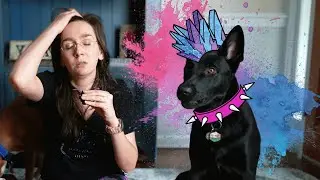Surviving the Teenage Dog Years