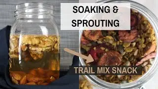 HOW TO ACTIVATE NUTS | Soaking almonds, walnuts & seeds + recipe for TRAIL MIX SNACKS