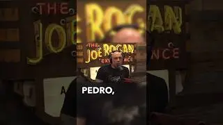 What @joerogan & @RemiWarren thinks about our channel blows our mind! 😱🤯 #bowhunting #joerogan