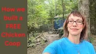 Reestablishing a Homestead/Farm -Chicken Coop Tours & Upgrades -from Old to New
