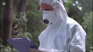 Документальный фильм 