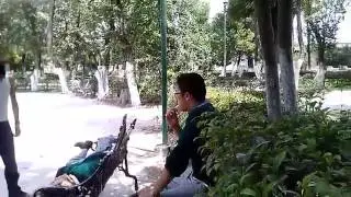 video 8