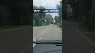 Почти нашел коров. Правда, пока только запах. #чекфуд #обзореды #молоко