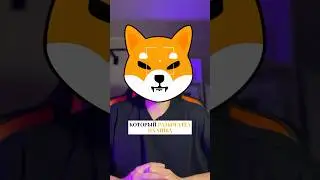 Разбогател на Shiba 