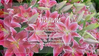 Вебинар 