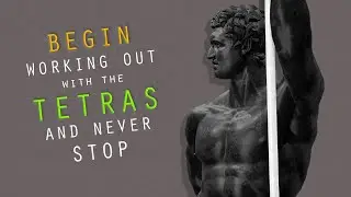 Ease Into a New Workout Routine Using the Ancient Greek "Tetras" and Make Exercising a Habit