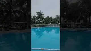Вы только взгляните на это