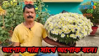 অশোক দার সাথে অশোক বনে /শীতের বাগান পরিদর্শন/@Banchharamerbagan