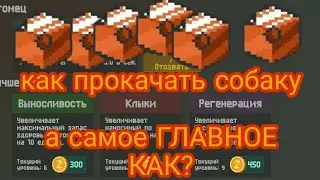 zombix online /Гайд/ Как прокачать собаку / что лучше прокачивать/ zombix online