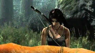 Tomb Raider 2013 Ultra Settings GTX 260 1.7 GB