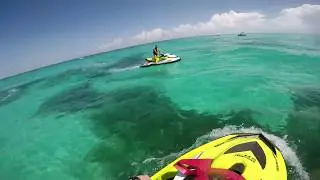 Seadoo Life Alligator Reef/Indian Key FL
