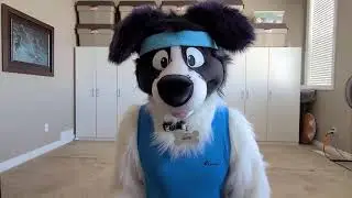 Fluffy Fitness with Sam the Border Collie