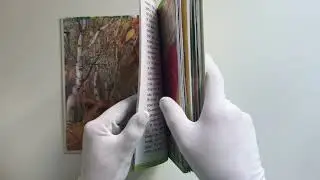 Рассказы. Пришвин Михаил Михайлович