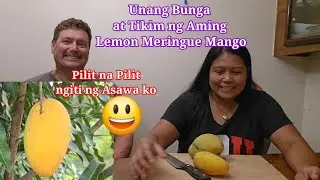Unang Tikim ng LEMON Meringue Mango