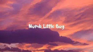 Numb Little Bug - Em Beihold [Lyrics]