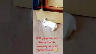 14 июня 2022 г.