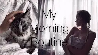 my morning routine