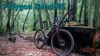 2021 Polygon Bend R5 | Review