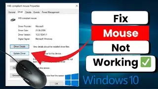 How to Fix Mouse Not Working in Windows 10 | 2025 Easy Guide