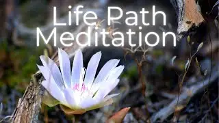 Life Path Meditation