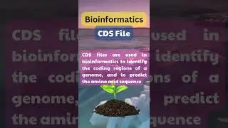 What is CDS file 