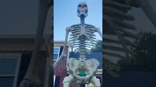Best Fidgets For My 12ft Skeleton!