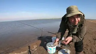 TO CATCH A CARP, YOU NEED... !!!/FISHING IN SYDINSKY BAY/SPIDER(LIFT),CARPFISHING/RECREATION/1 SE...