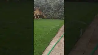 Создание рулонного газона в Одессе. Осень 2019