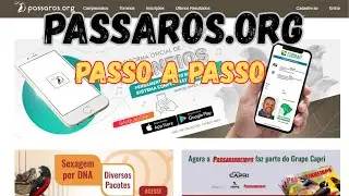 How does the Pássaros.org platform work? A complete guide for breeders.