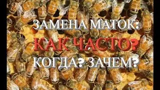 ОЧЕНЬ!Важные моменты по замене матки.БЫСТРО И НАДЁЖНО!