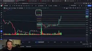 Bitcoin Cash Price Predictions *800 DOLLARS INCOMING*