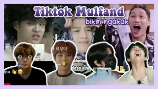 Tiktok Mulfand bikin Ngakak (NCT Treasure Wannaone TheBoyz Seventeen Stray Kids SuperM Astro, dll)
