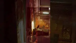 Stray Game: Walkthrough of Zurks to Elevator