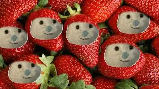 STRAWBERRY BEAR 🍓🍓