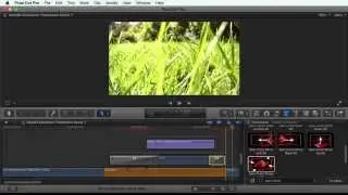 Alex4D Animation Transitions for Final Cut Pro - Before and after