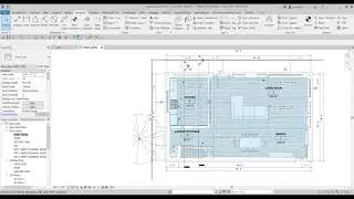 rendering and sections