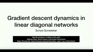 2023 CCSP Workshop - Suriya Gunasekar (Microsoft)
