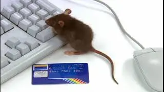 MICROSOFT Stay Safe Online 