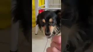 Someone's been to Turkey 🤣 (🎥: contentbible)