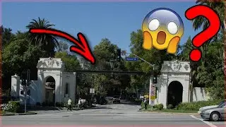 Bel-Air (TV series) - Narrated Wiki English