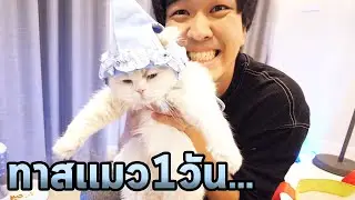 แมวผมเริ่มนิสัยไม่ดีแล้วครับ...