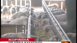 ΚΟΡΙΝΘΟΣ 11 5 2010 DRTV