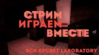 👑SCP Secret Laboratory (СТРИМ)